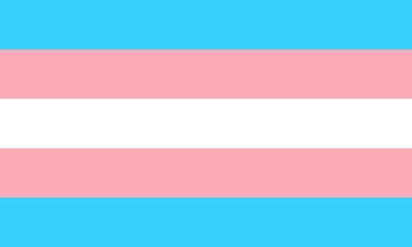 Press release: Transgender Day of Visibility – why this mandate can mark the difference